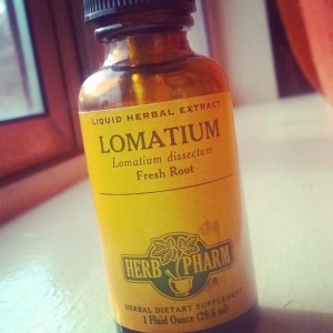 Here's what the bottle of lomatium extract looks like! Use 10-20 drops, twice daily for 3 days.